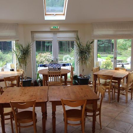 Riversdale House Room Only Accommodation, A98Kd85 Brockagh Exteriör bild